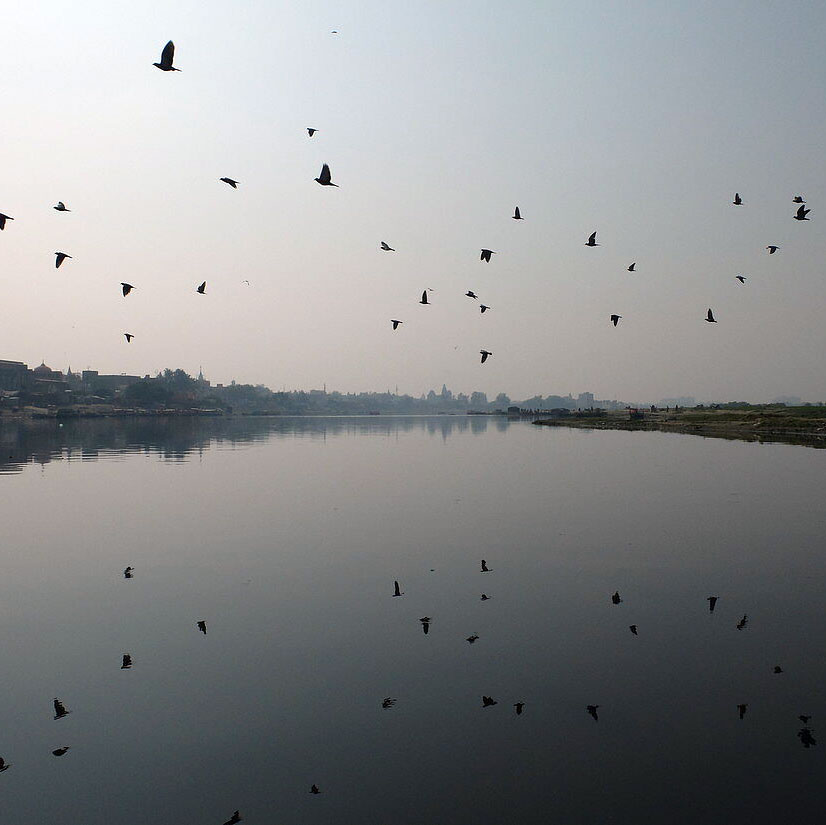 দিব্যজীবনে রঙ্গরস