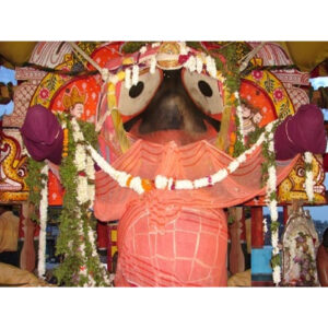 শ্রীজগন্নাথের নিত্যপূজা